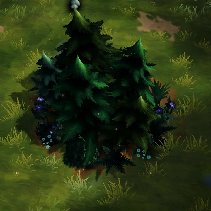 Bear Clan · level 1